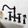 Duchess Double Handle Kitchen Faucet with Side Spray