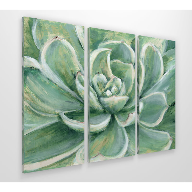 " Succulent " 3 - Pieces, 40" H x 60" W x 1.5" D
