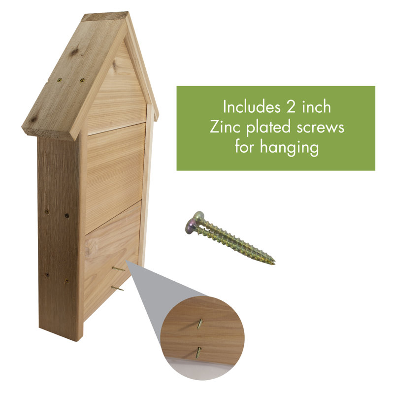 Maison bat 22 po x 15 po x 4 po