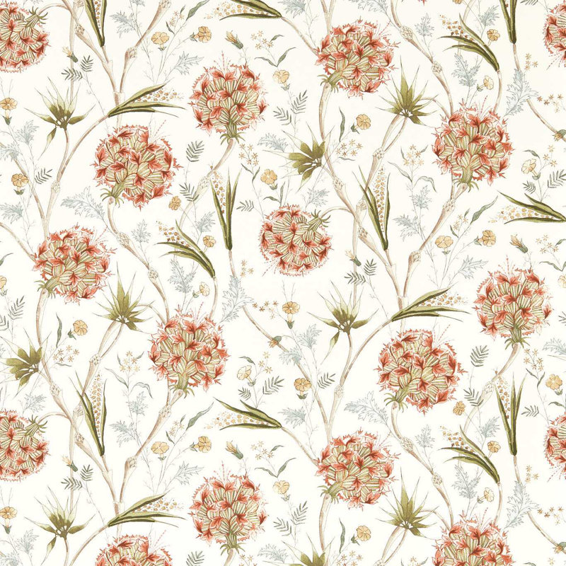 Wallichi, Russet/Olive
