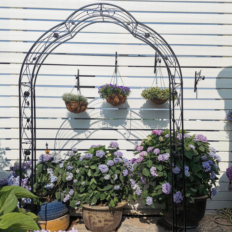 Arche de jardin treillis pour plantes - stable, 97,55 po Élevé, finition noire, hauteur, métal galvanisé