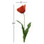 OPEN TULIP STEM