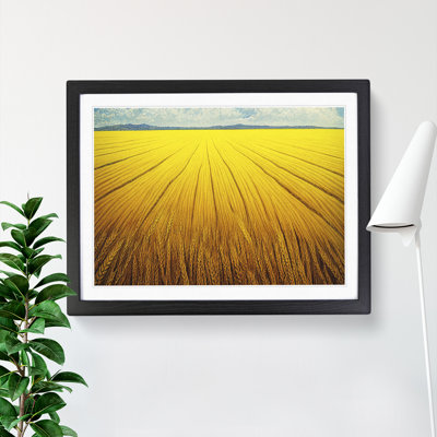 Contemporary Wheat Field - Framed Print