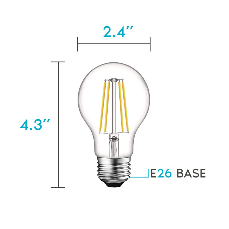 8 watts (équivalent à 60 watts), DEL Edison A19, ampoule à intensité variable, culot E26 / moyen (standard), 5 000 K
