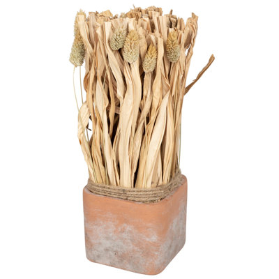 30cm Faux Pampas Grass Grass in Terracotta Pot