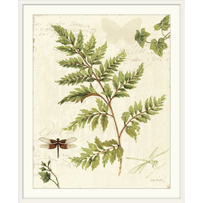 «Ivies and Ferns I» par Lisa Audit, impression