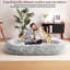 Grand lit pour chien de taille humaine lavable avec housse amovible-471780009-524955818