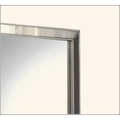 Platinum Finish Mirror