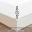 Mattress Protector Case Pack-1906911191-1906911189