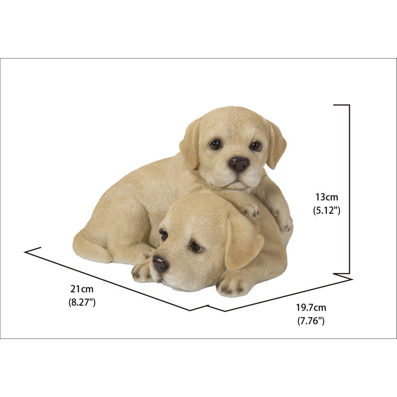 Bébé labradors jouant