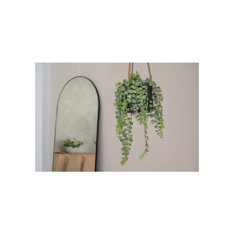 Gray Fiberstone Hanging Pot, 7" W x 7" D x 7" H, Black