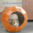 Douthitt Nest Pet Bed