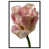 Black Floater Frame is unavailable