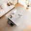 Lift Top Coffee Table with Storage-173675068