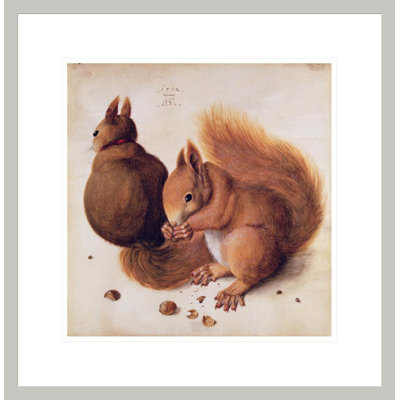 «Squirrels» par Albrecht Dürer, impression giclée sur cadre