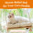 Cat Window Perch - Cat Hammock For Window - Solid Wood Seat & Strong Suction Cups - Cat Window Bed & Furniture For Cats Inside - Hanging Window Shelf For Small Medium Indoor Cats