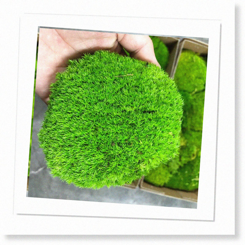 Moss Pillow Bun Cushion - 0.44lb