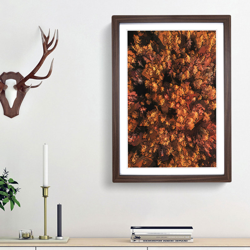 Autumn Forest in Bloom in Abstract - Picture Frame Graphic Art Print, Walnut Framed, 36cm H x 27cm W x 2cm D