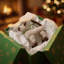 Siamese Cat Christmas Holiday Shaped Ornament