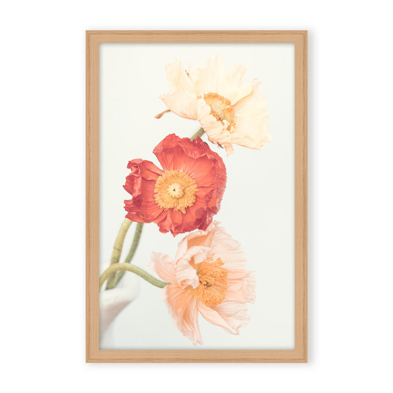Nature Inspired Poppies by Kathrin Pienaar - Picture Frame Photograph on Paper, 24" H x 16" W x 1.125" D, Framed Print, Beige