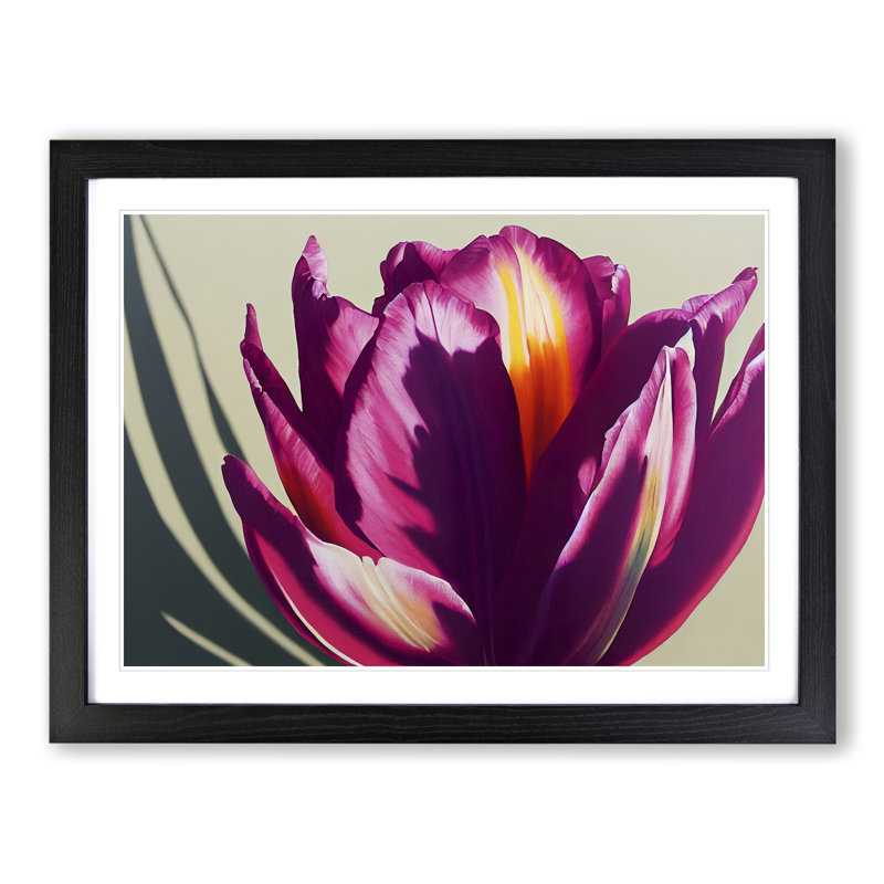 Flourishing Flower - Single Picture Frame Print, 34cm H x 46cm W x 2cm D, Black