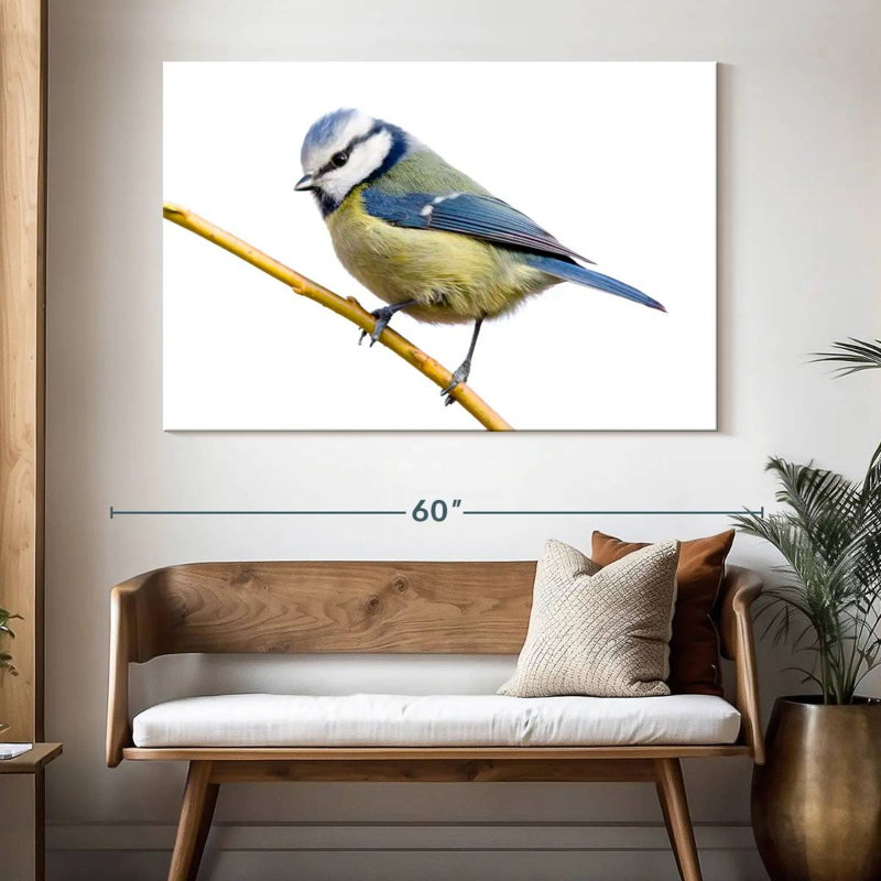 Feathery Blue Tit, H 34 po x l 51 po