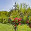 Ensemble de 2 grandes jardinières rondes en métal avec plateaux amovibles décoration de jardin-71091468