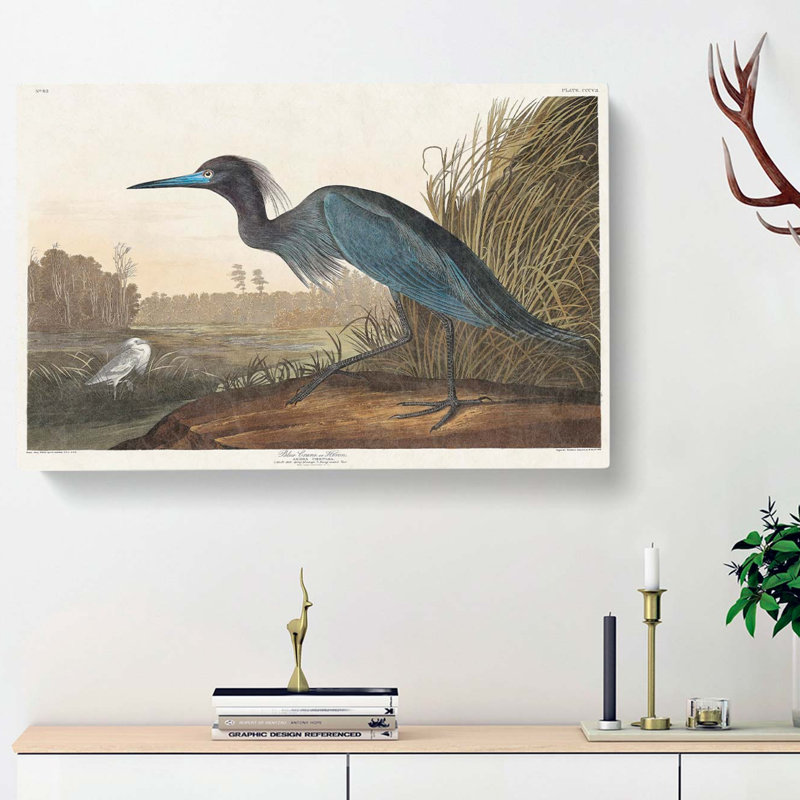 Blue Heron by John James Audubon - Wrapped Canvas, 40cm H x 60cm W x 3cm D