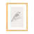 Beige Wood Framed Paper is unavailable
