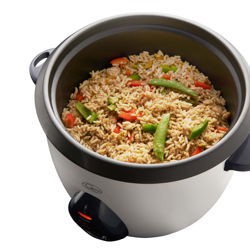 1 Litre Rice Cooker & Steamer, 2.2 L