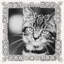 Madison Metal Picture Frame
