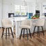 Drish Swivel 25.98" Counter Stool