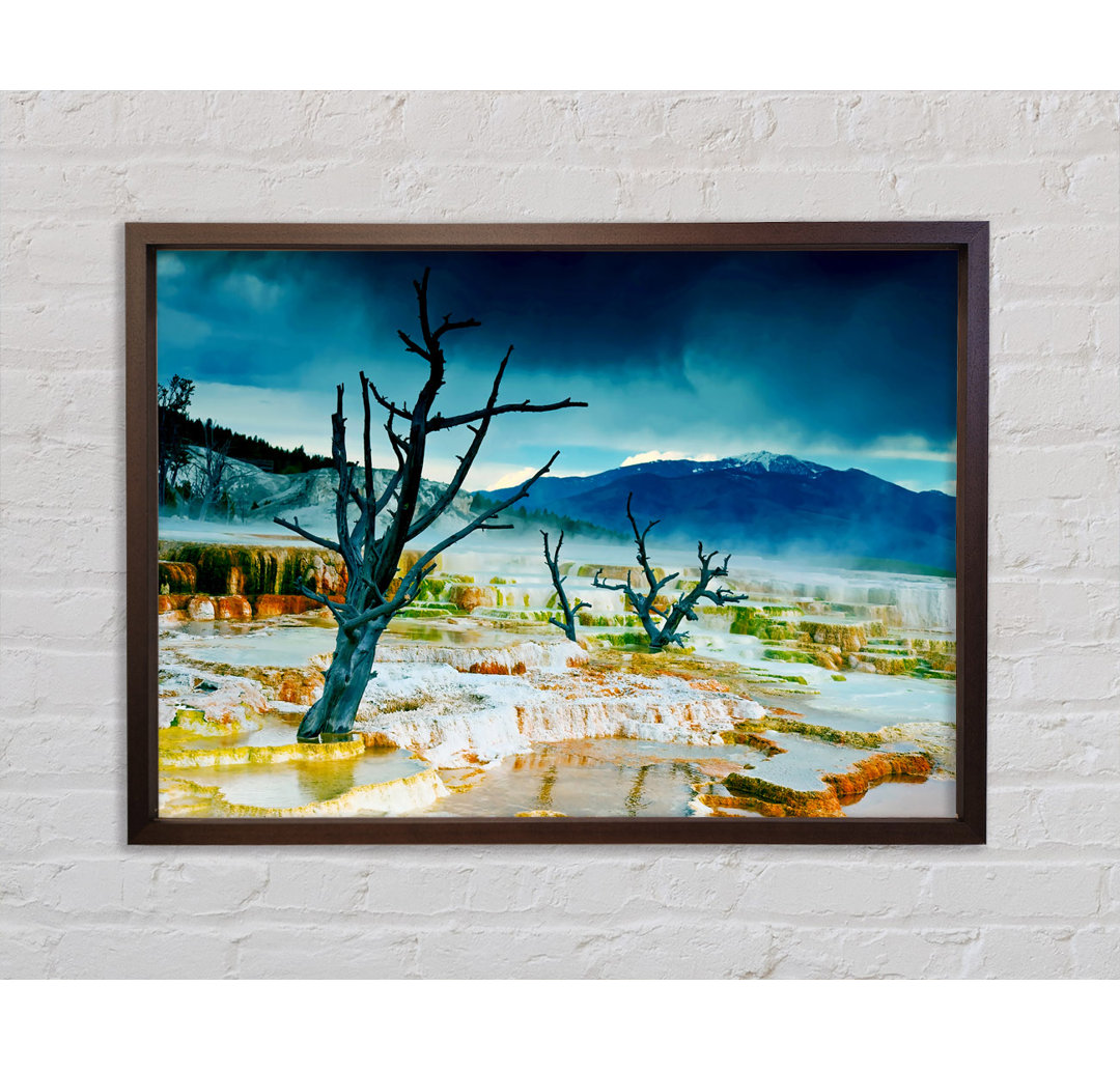 Snow Desert Trees - Einzelbildrahmen Kunstdrucke auf Leinwand