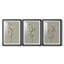 Fleurs blanches sur fond blanc I - reproduction sur mesure encadrée de qualité supérieure - 3 pièces-673044-673045