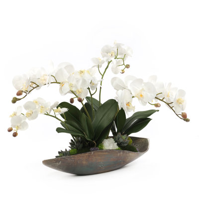 Orchid Floral Arrangement