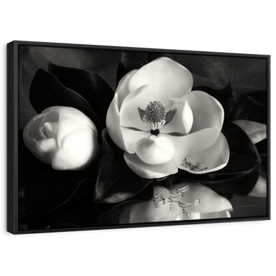 " Magnolia In Bloom "