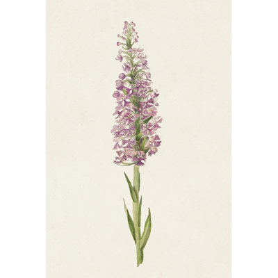 Mauve Garden Flowers I -  Painting