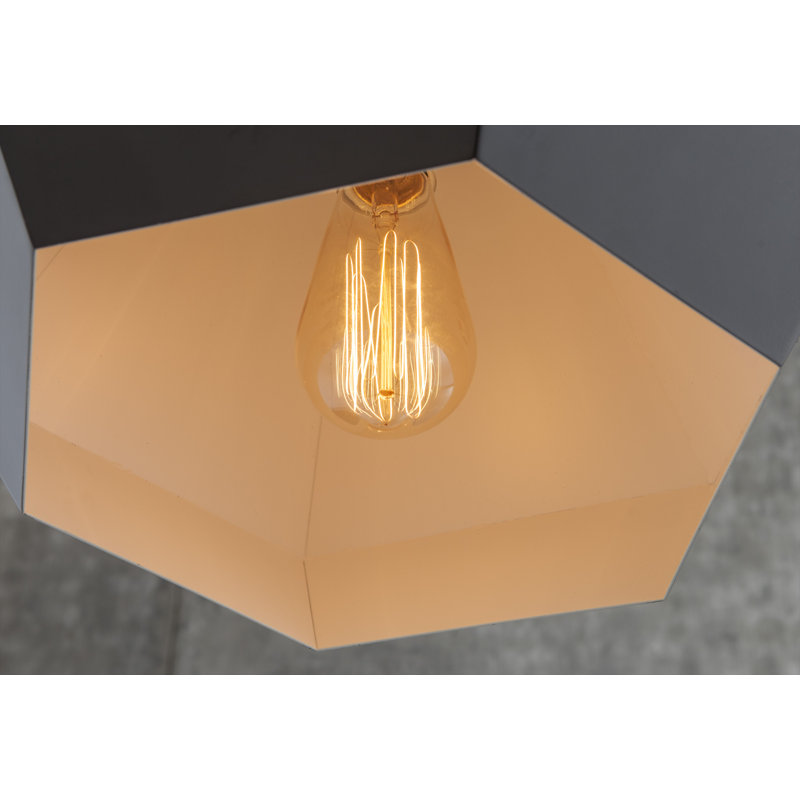 1 - Light Single Pendant, Black