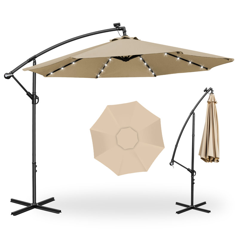 Parasol Banana, Brown
