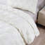 Ensemble de courtepointe en duvet synthétique 3 pièces Bradly-31418753-19961769
