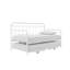 Beant Daybed with Pop Up Trundle-95499340-103708194