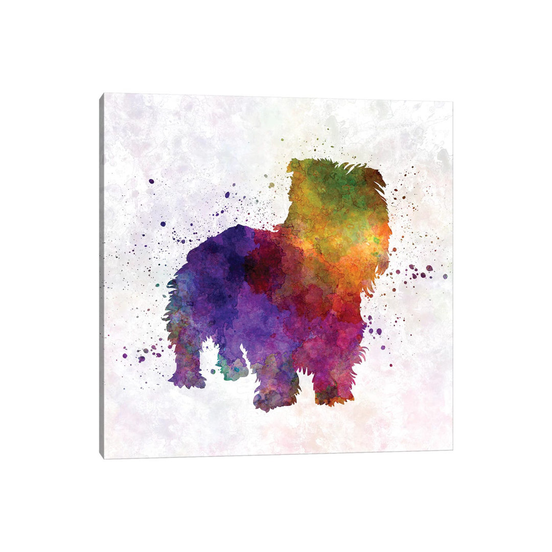 Irish Glen Of Imaal Terrier In Watercolour by Paul Rommer - Wrapped Canvas Painting