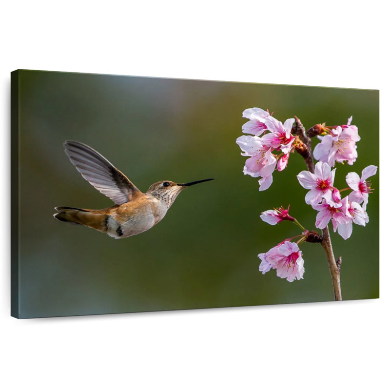 Brampt Cherry Blossom Hummingbird, 30" H x 45" W
