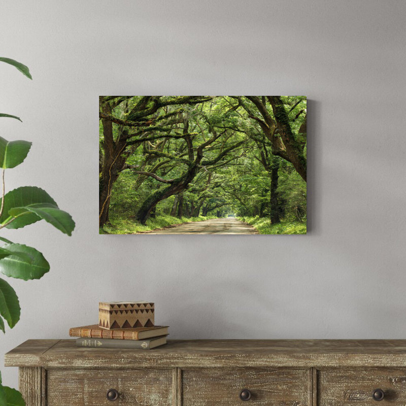 «Canopy Road IV» par James McLoughlin - Photographie sur toile tendue, H 20 po x l 30 po