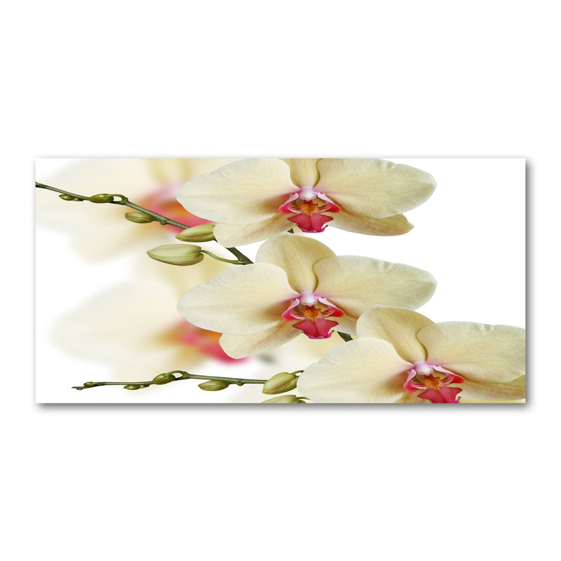 Orchid - Wrapped Canvas Print, 70cm H x 140cm W