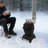 Medium Portable Cast Iron Heating Stove