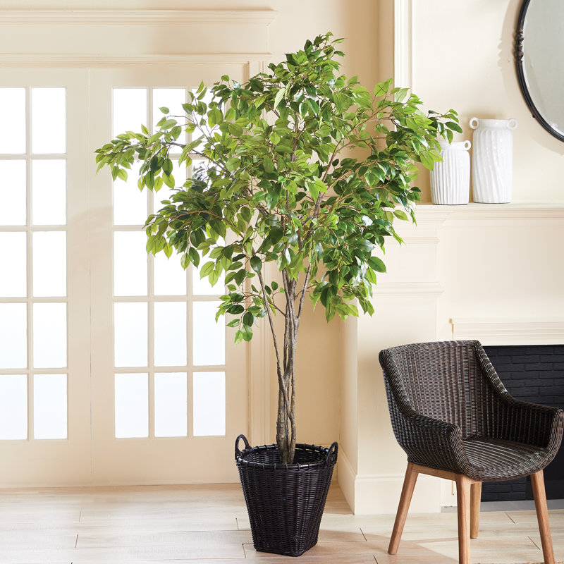 Faux grand arbre réaliste de 8 pi Ficus Grande, H 96 po x l 64 po x P 64 po