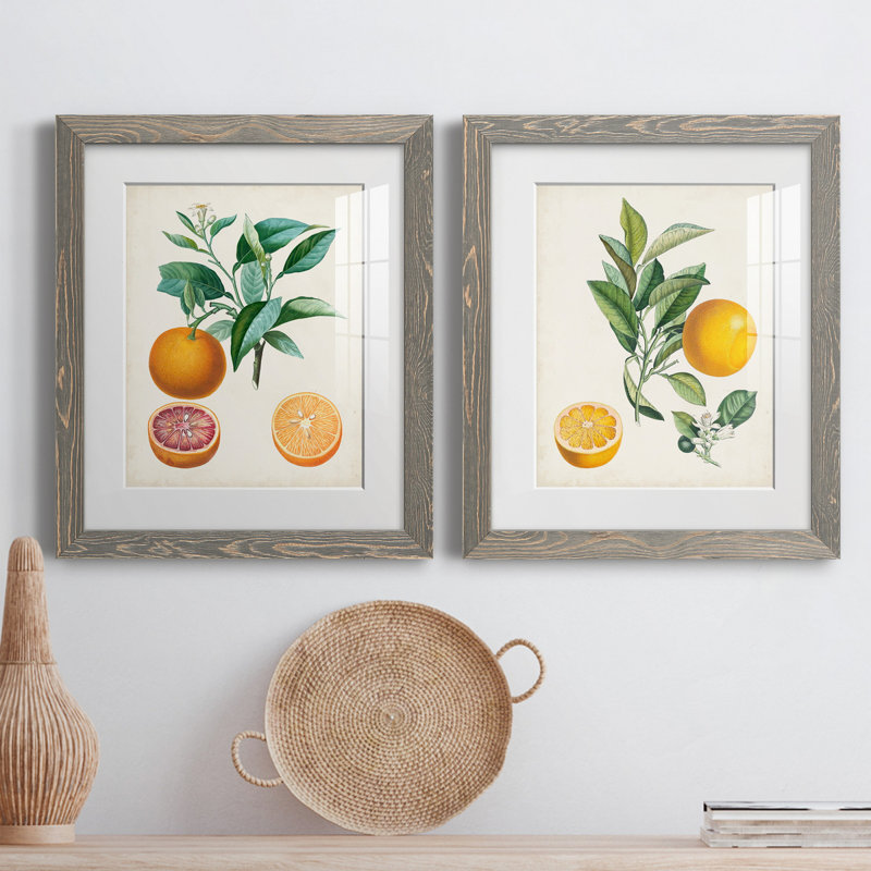 Orange de Malte - ensemble de 2 reproductions d'art, H 20 po x l 17 po x P 1 po, Papier encadré blanc, Blanc