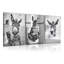 3 Piece Wrapped Canvas Set