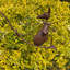 Isiah Animals Metal Garden Statue
